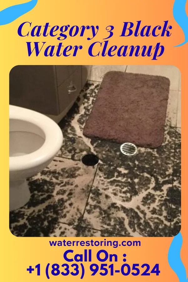 Category 3 Black Water Cleanup in Hyndman, PA